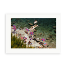 Illustrative matte-white framed preview with white inner border of Beach at Il Pellicano by Slim Aarons. Proportions vary by size.