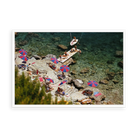 Illustrative matte-white floater-framed preview, without added mat, of Beach at Il Pellicano by Slim Aarons. Proportions vary by size.