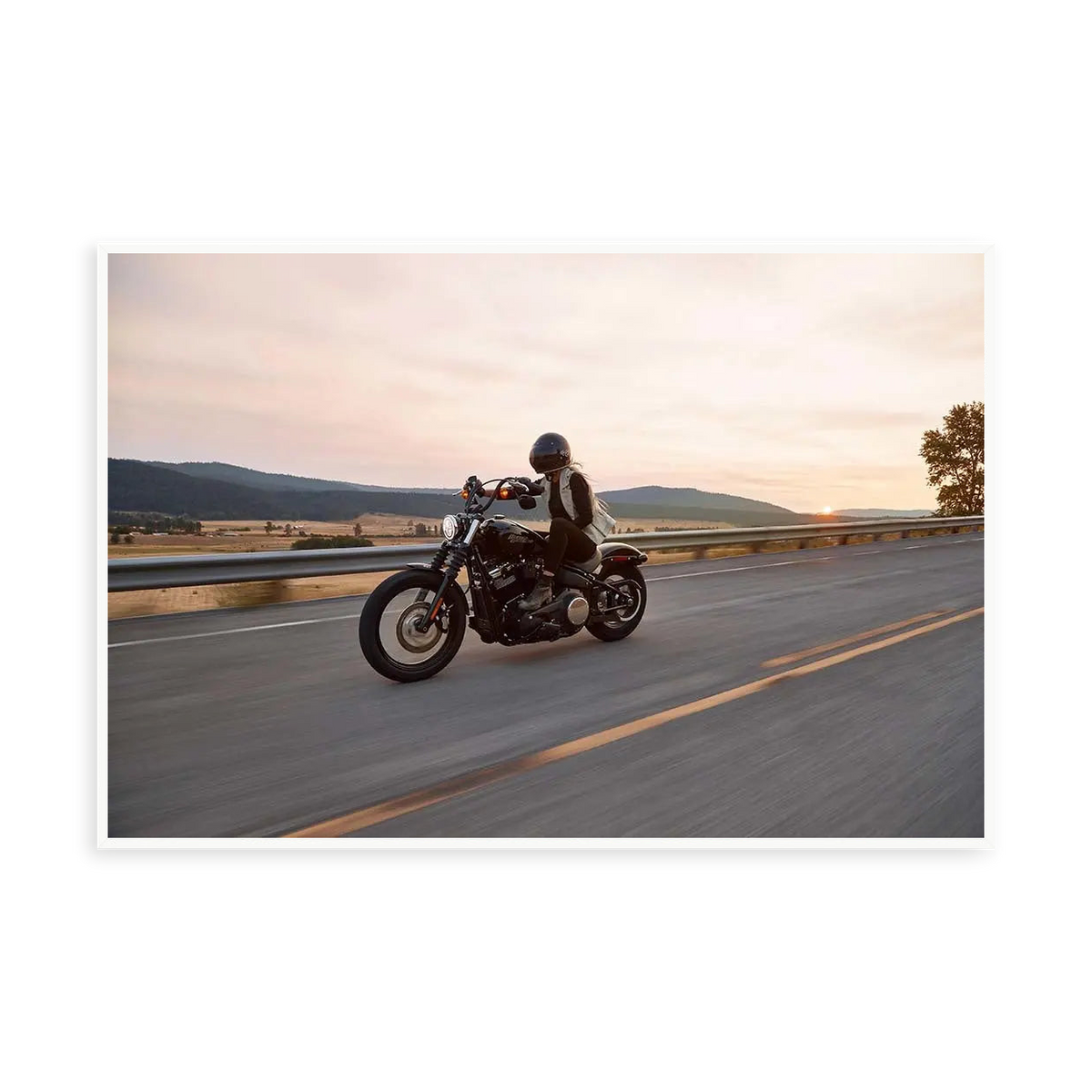 Easy Harley Rider by N. David — illustrative narrow matte-white framed metal print, no added mat.