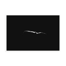 Nude in Water by Enric Gener — illustrative narrow matte-white framed metal print, no added mat.