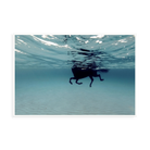 Carrusel Marino by Enric Gener — illustrative narrow matte-white framed metal print, no added mat.