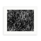 Grass Splendor by David Hoefler — illustrative matte-white framed preview with a white mat. Proportions vary by size.