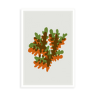 Coral in Green and Orange by Alejandro Franseschini — illustrative narrow matte-white framed metal print, no added mat.
