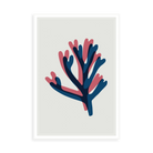Coral in Purple and Pink by Alejandro Franseschini — illustrative narrow matte-white framed metal print, no added mat.