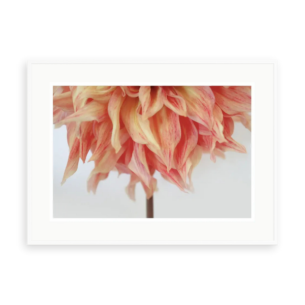 Chosen by Karen Thom — illustrative matte-white framed preview with a white mat. Proportions vary by size.