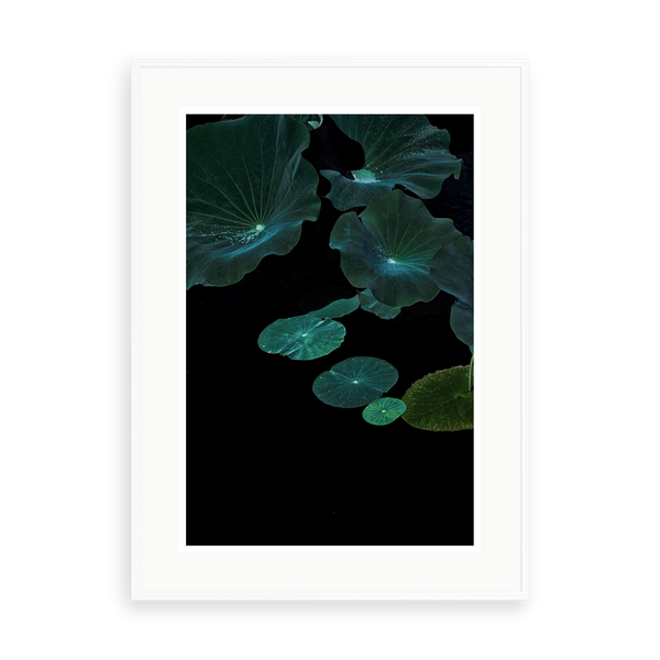 Flying Lotus by Ana Bonet — illustrative matte-white framed preview with a white mat. Proportions vary by size.