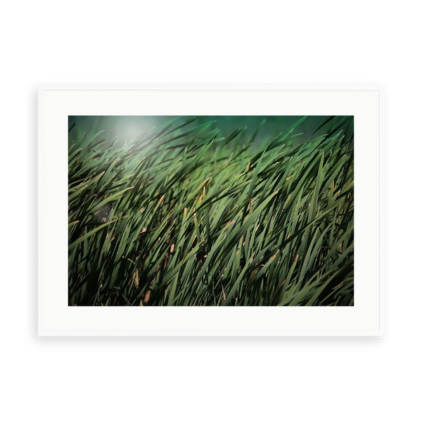 Moment by Karen Thom — illustrative matte-white framed preview with a white mat. Proportions vary by size.