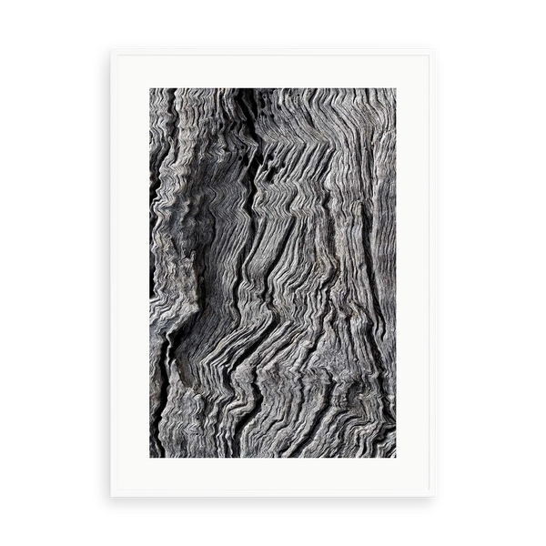 Berkano 1 by D. Cole — illustrative matte-white framed preview with a white mat. Proportions vary by size.