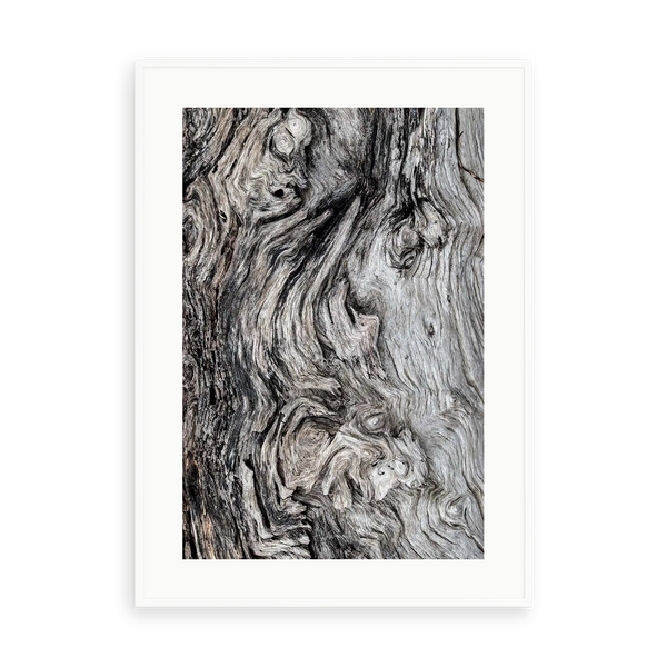 Berkano 3 by D. Cole — illustrative matte-white framed preview with a white mat. Proportions vary by size.