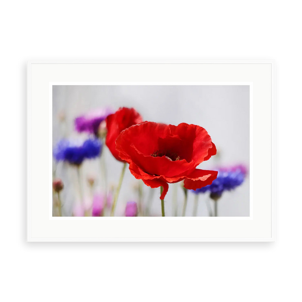 Escape by Karen Thom — illustrative matte-white framed preview with a white mat. Proportions vary by size.