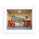 Zebra in Living Room by Matthias Clamer — illustrative matte-white framed preview with a white mat. Proportions vary by size.