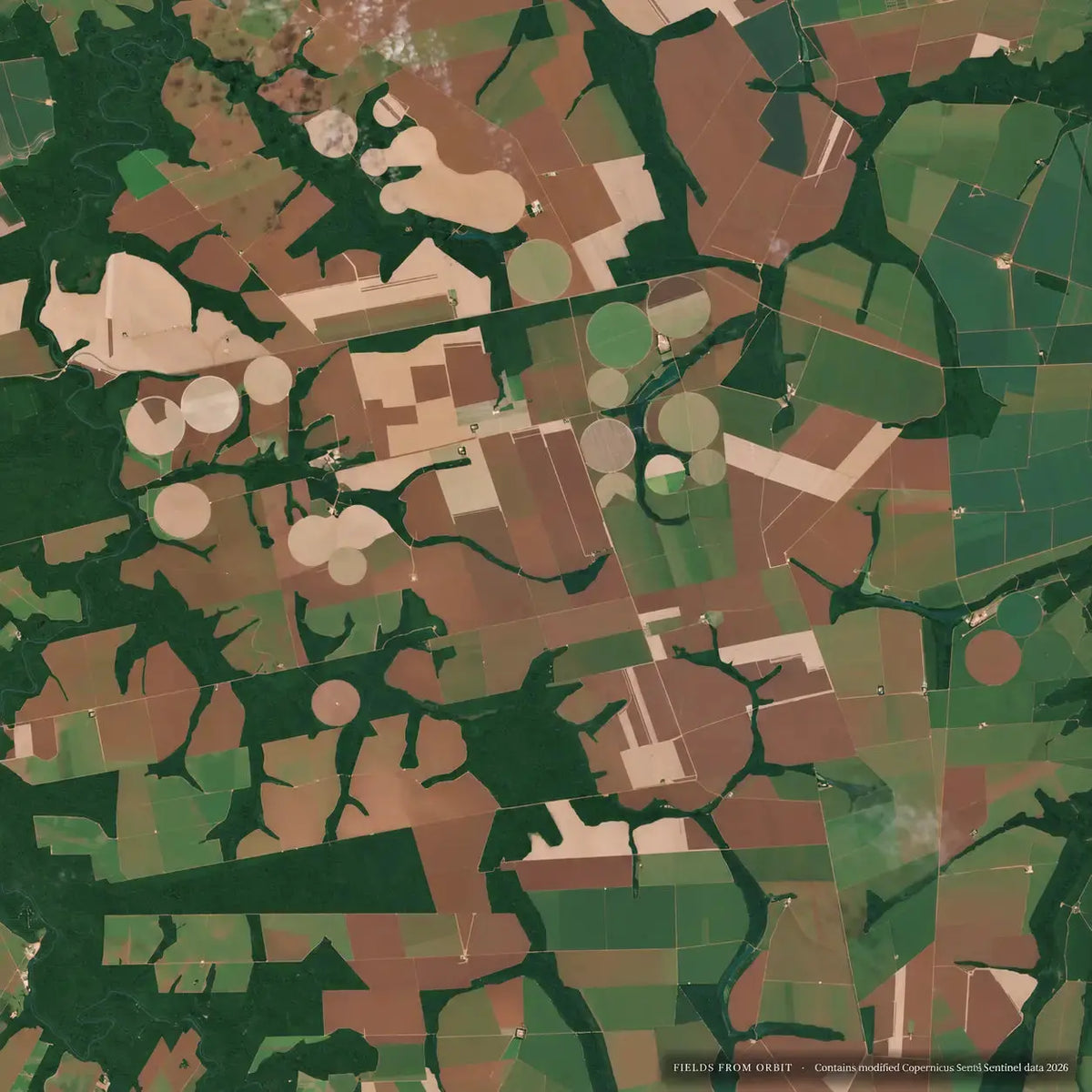 Aerial satellite view of a patchwork of agricultural fields in shades of green, brown, and beige, with several circular center-pivot crop patterns visible.