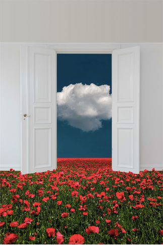 Screen Shot 2020-04-01 at 7.49.36 PM