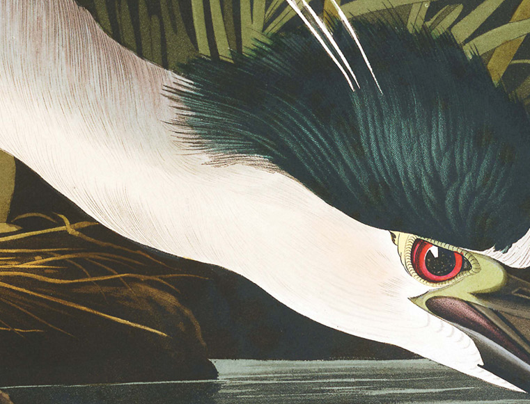 Screen Shot 2020-04-29 at 3.56.35 PM