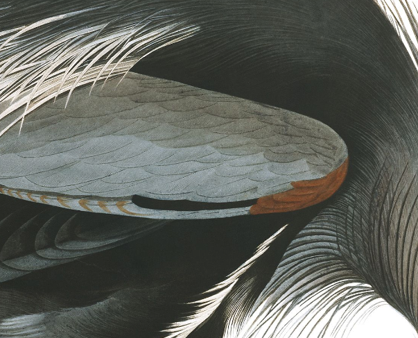 Screen Shot 2020-06-10 at 11.38.33 AM