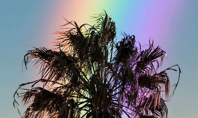 Screen Shot 2020-06-27 at 11.38.14 AM