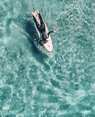 Screen Shot 2020-10-15 at 11.02.02 AM