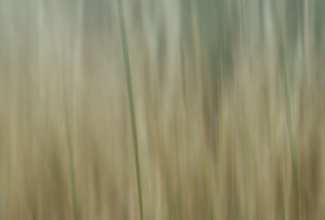 Screen Shot 2020-10-30 at 10.45.15 PM