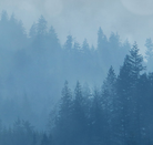 Screen Shot 2020-10-30 at 10.47.12 PM