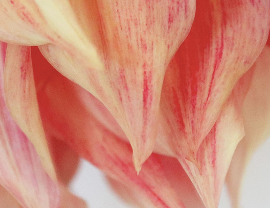 Screen Shot 2020-10-30 at 10.48.36 PM