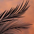 Screen Shot 2020-10-30 at 10.56.56 PM