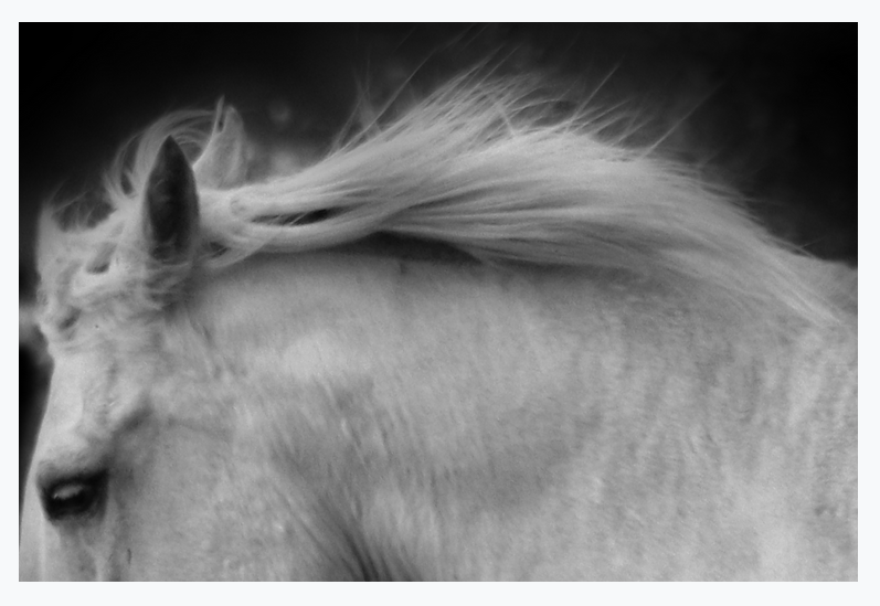 Screen Shot 2020-10-30 at 11.20.39 PM