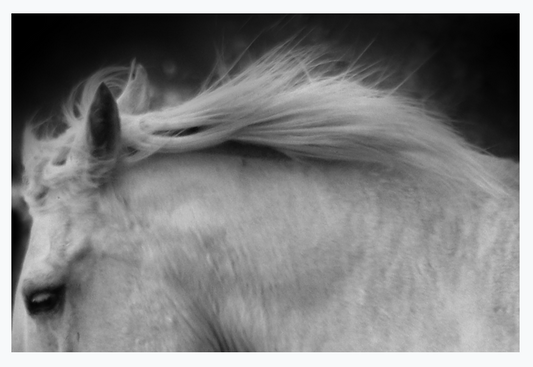 Screen Shot 2020-10-30 at 11.20.39 PM