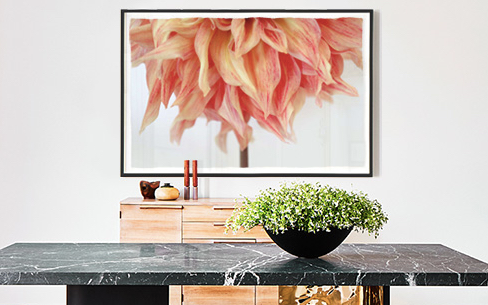 Screen Shot 2020-11-04 at 10.41.12 AM