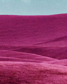 Screen Shot 2021-01-10 at 4.49.26 PM