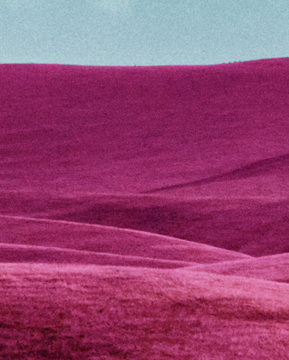 Screen Shot 2021-01-10 at 4.49.26 PM