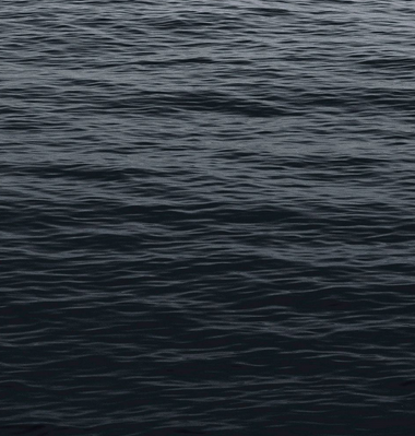 Screen Shot 2021-01-14 at 7.21.54 AM