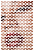 Screen Shot 2021-02-18 at 3.56.30 PM