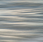 Screen Shot 2021-03-12 at 3.58.16 PM