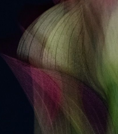 Screen Shot 2021-03-16 at 4.56.51 PM