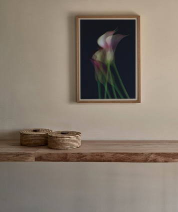 Screen Shot 2021-03-29 at 7.58.37 PM