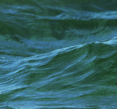 Screen Shot 2021-09-03 at 7.16.51 PM