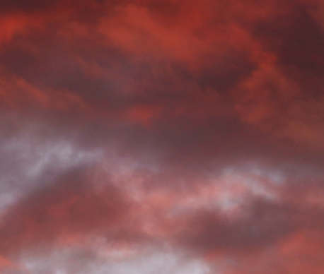 Screen Shot 2021-09-03 at 7.17.02 PM