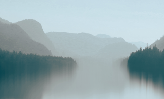 Screen Shot 2021-09-03 at 9.48.20 AM