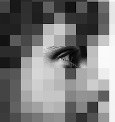 Screen Shot 2021-11-03 at 10.32.42 AM