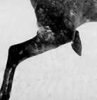 Screen Shot 2022-02-11 at 9.06.14 AM