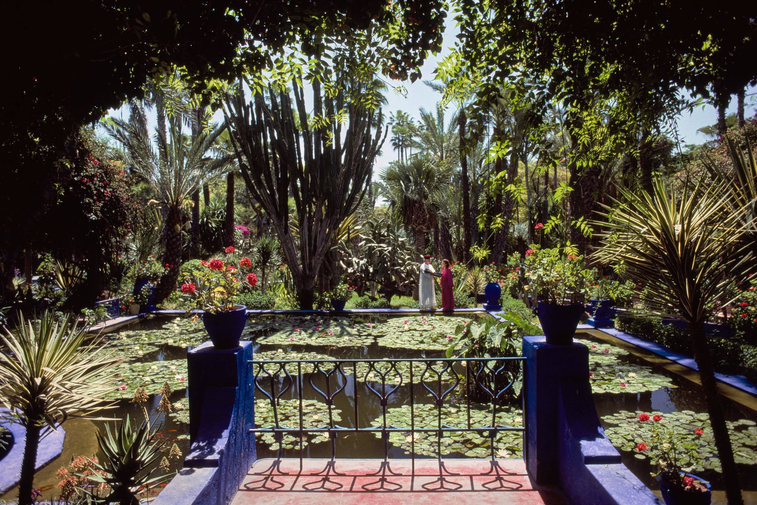 Majorelle Gardens by Slim Aarons featuring visitors surrounded by vibrant blue architecture and lush botanical gardens in Marrakech