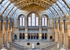 The National History Museum by M. Beck