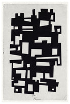 web 40x60_colosal_the_picturalist_wall_art (1)